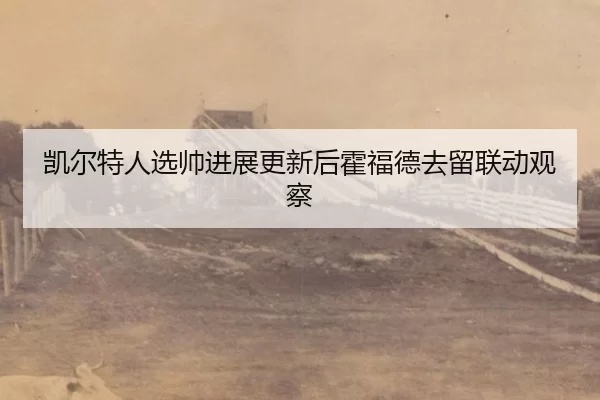 凯尔特人选帅进展更新后霍福德去留联动观察