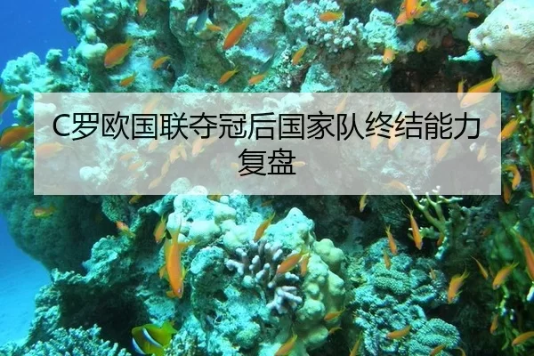 C罗欧国联夺冠后国家队终结能力复盘